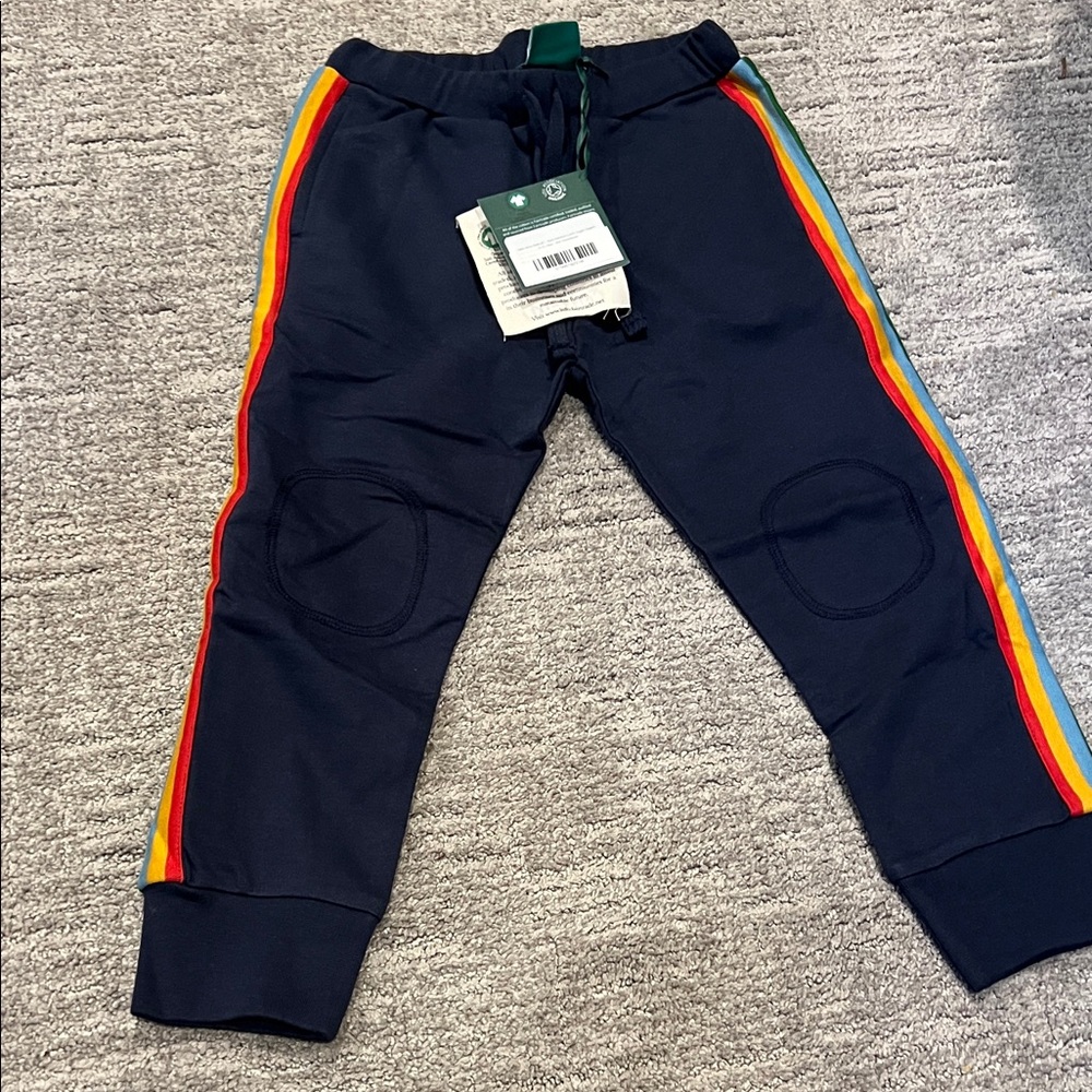 Little Green Radicals Navy Joggers with Colorful Stripes